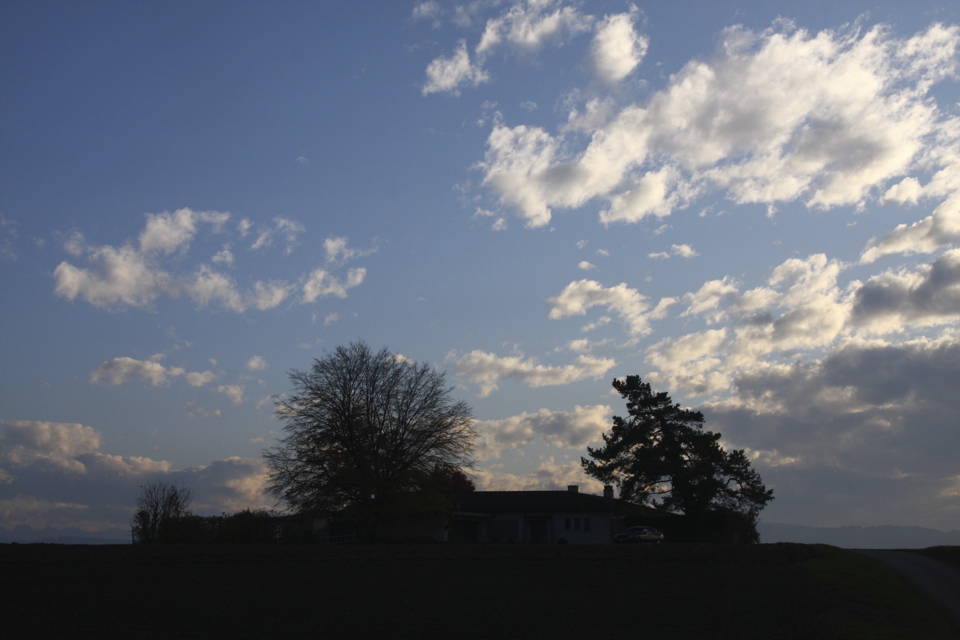 Weinfelden 4